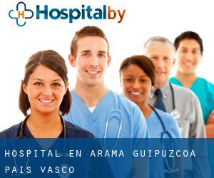 hospital en Arama (Guipúzcoa, País Vasco)