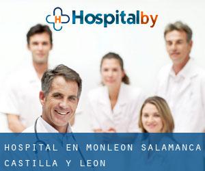 hospital en Monleón (Salamanca, Castilla y León)